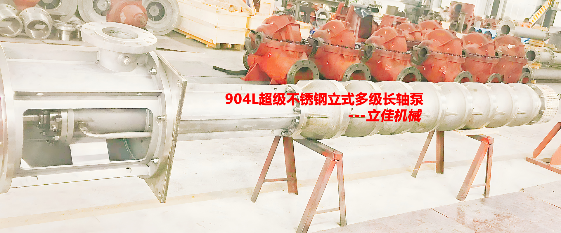 ʽߓP(yng)̲PL(zhng)S